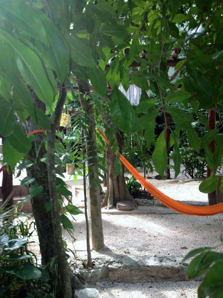 Las mejores ofertas de Shalala Playa Del Carmen
