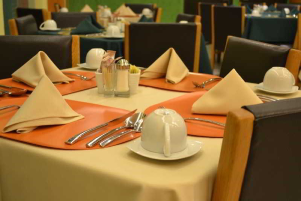 Las mejores ofertas de Hostalia Hotel Expo and Business Class Guadalajara 