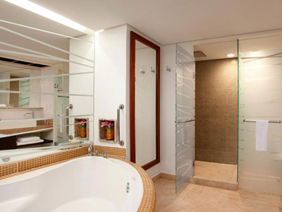 Las mejores ofertas de Hyatt Ziva Puerto Vallarta Puerto Vallarta