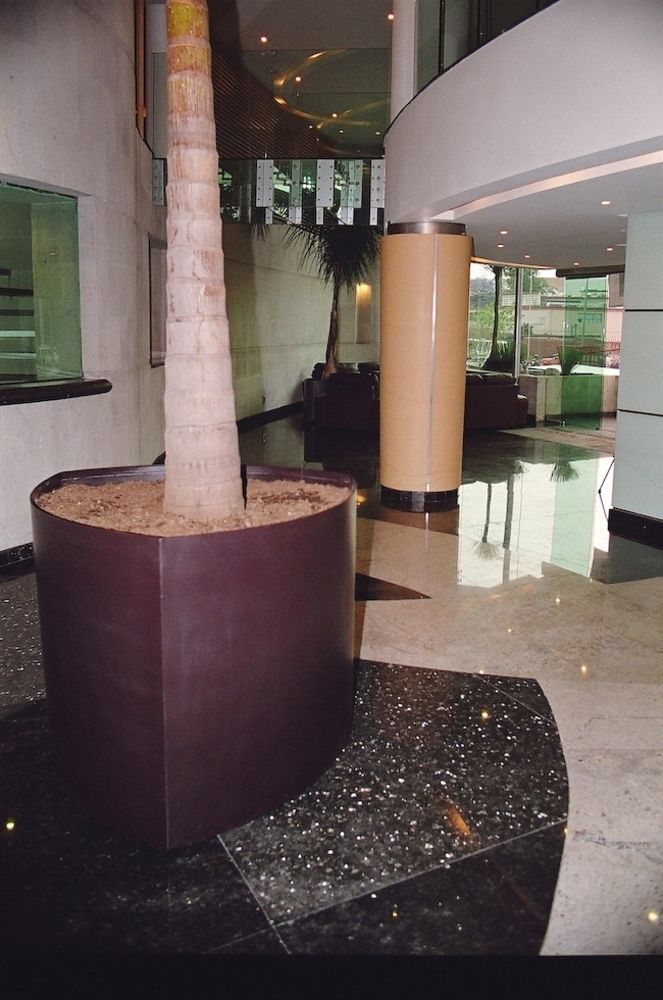 Las mejores ofertas de Scala Magna Ciudad de Mexico