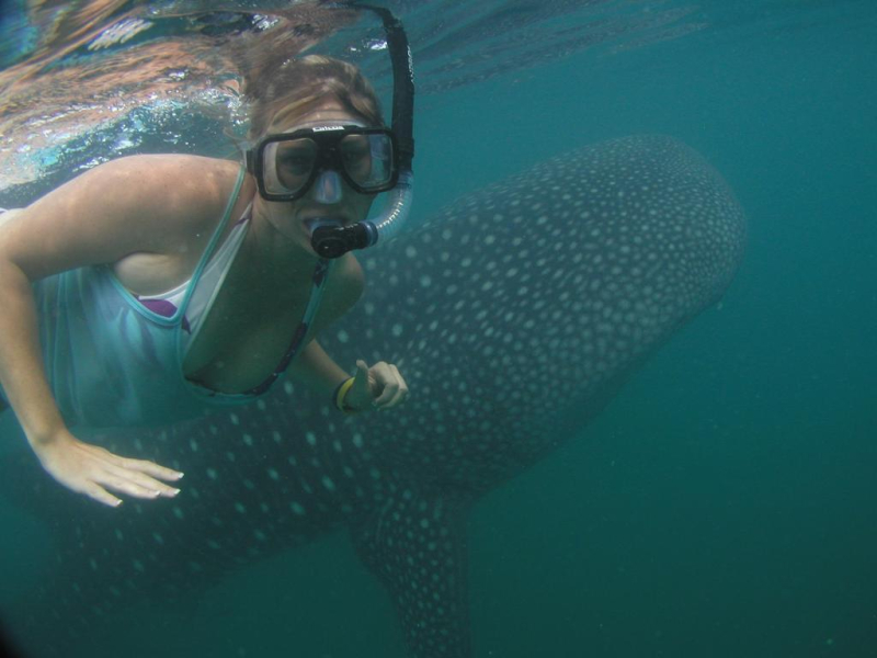 Las mejores ofertas de Club Cantamar La Paz