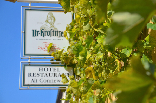 Las mejores ofertas de Alt-Connewitz Hotel Leipzig