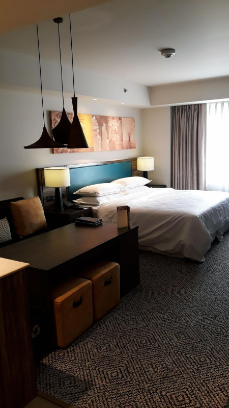 Las mejores ofertas de Sheraton Hyderabad Hotel Hyderabad