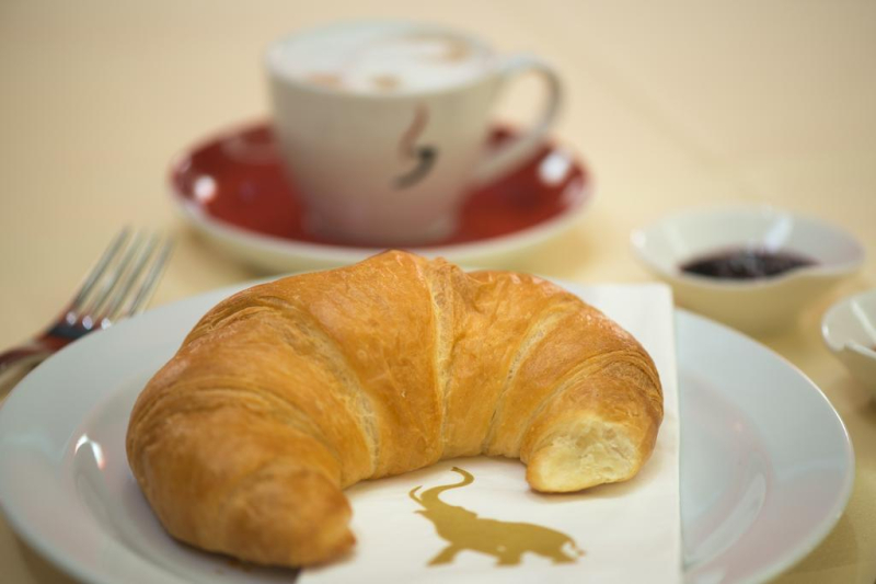 Las mejores ofertas de Hotel Elefant Salzburg