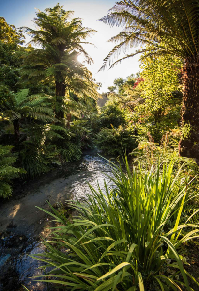 Las mejores ofertas de Best Western Braeside Rotorua Rotorua