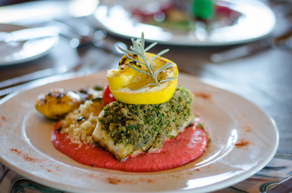 Las mejores ofertas de Buffelsdrift Game Lodge Oudtshoorn 