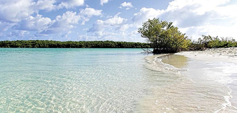 Las mejores ofertas de Meliá Jardines del Rey Cayo Coco
