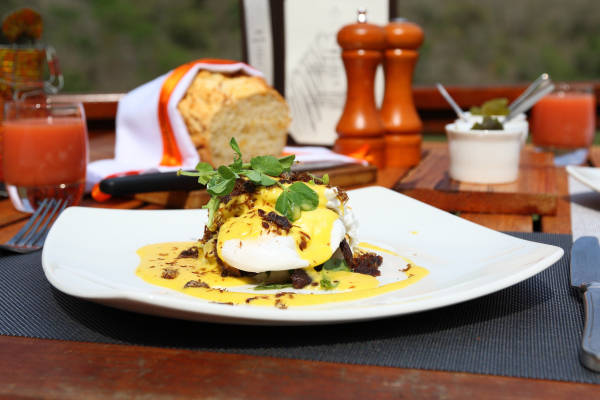 Las mejores ofertas de Amakhosi Safari Lodge Pongola