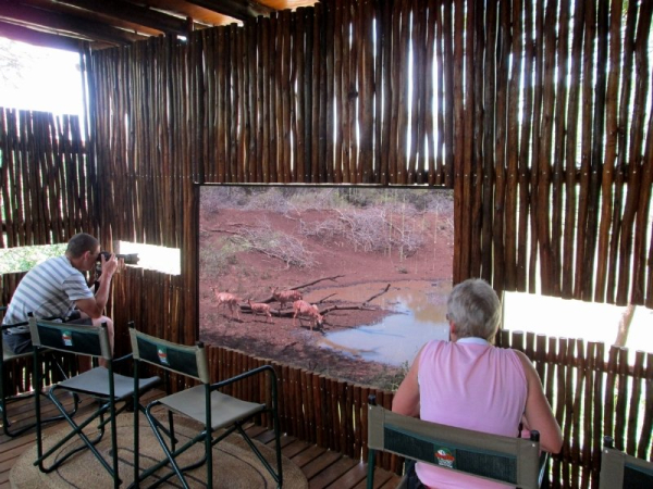 Las mejores ofertas de Leopard Mountain Lodge Mkuze