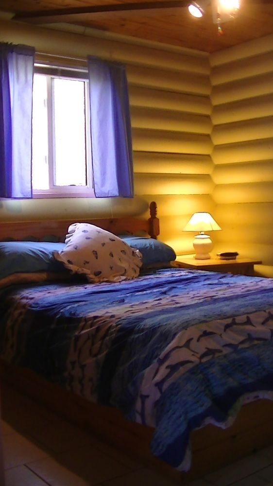 Las mejores ofertas de Oceanfrontier Hideaway Abaco Bahamas Cottages Abaco Islands