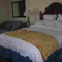 Las mejores ofertas de Aruba Surf Club Palm Beach