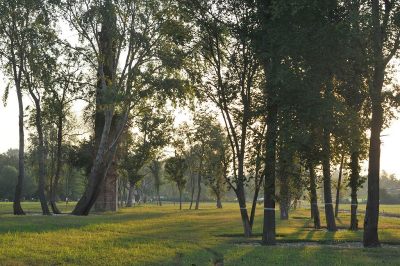 Las mejores ofertas de Venice Certosa Hotel Venecia