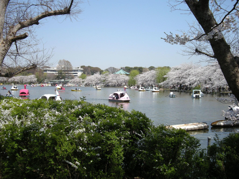 Las mejores ofertas de Ueno Terminal Hotel Tokio