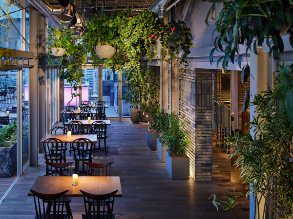 Las mejores ofertas de Shinjuku Granbell Hotel Tokio