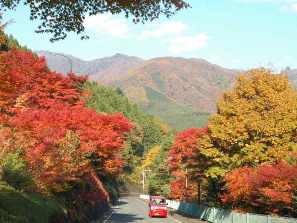 Las mejores ofertas de Shima Onsen Kashiwaya Ryokan Tokio