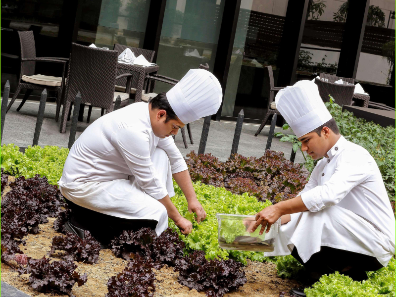 Pullman New Delhi Aerocity