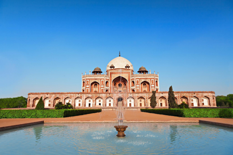 Las mejores ofertas de Mapple Express Delhi Delhi