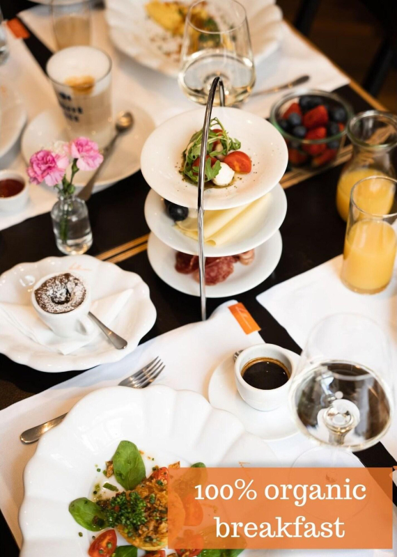 Hollmann Design & Boutique