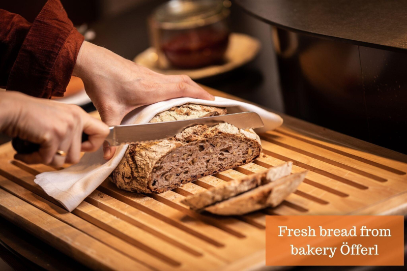 Hollmann Design & Boutique