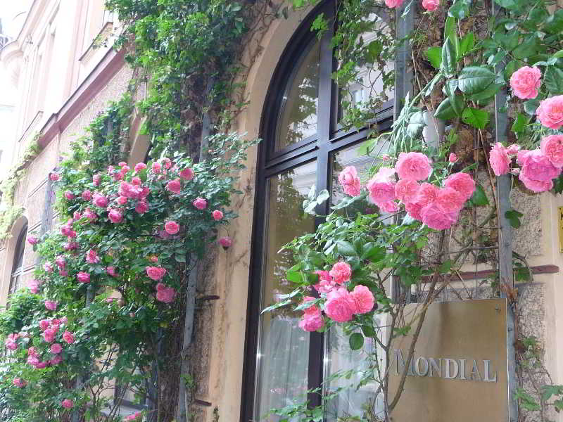 Las mejores ofertas de Mondial Appartement Hotel Viena