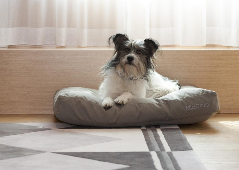 The Guesthouse Vienna