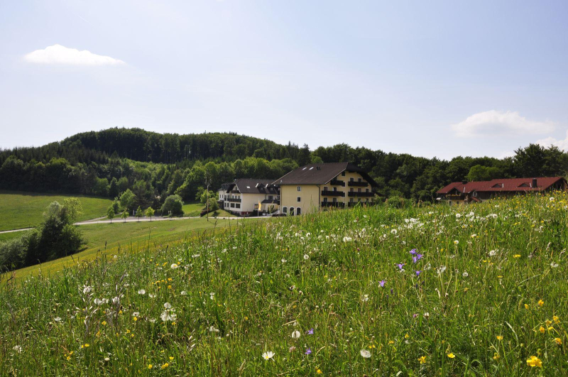 Las mejores ofertas de Wienerwaldhof Viena