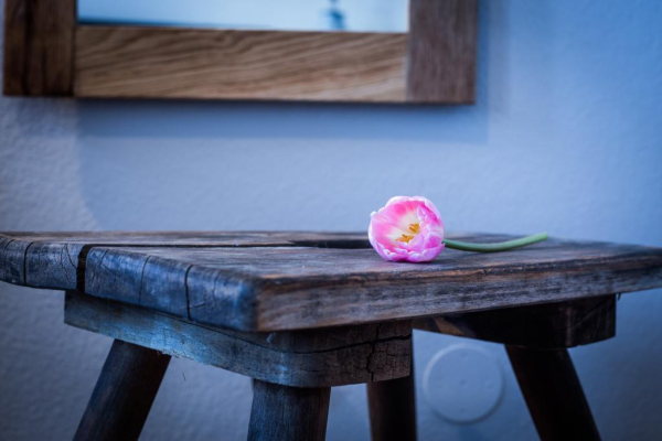 Las mejores ofertas de Anna 1908 Charlottenburg