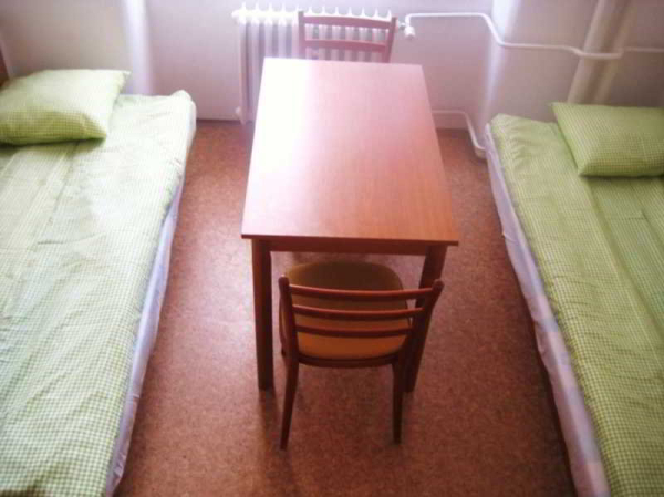 Las mejores ofertas de Dizzy Daisy Hostel Prague Praga