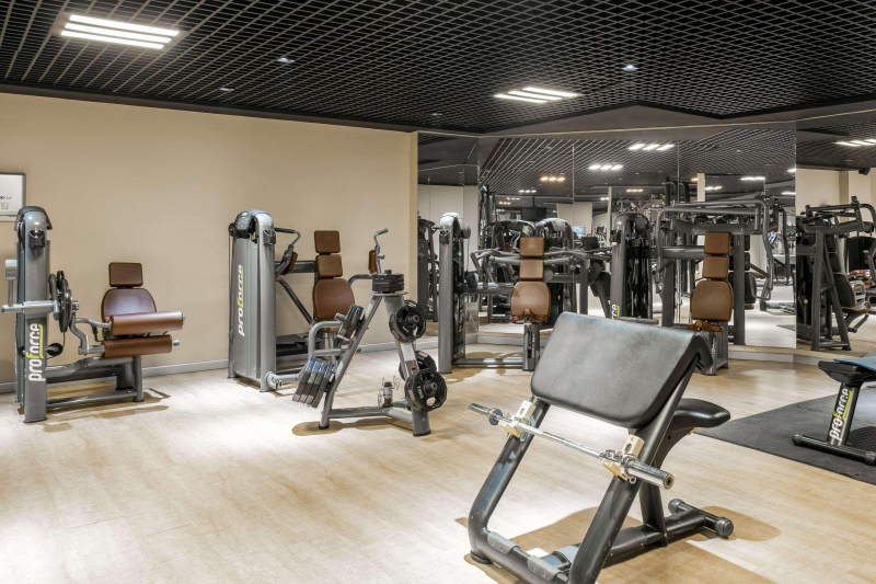 Las mejores ofertas de Clarion Hotel Istanbul Mahmutbey Estambul