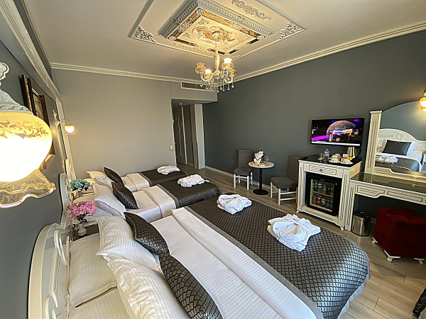 Las mejores ofertas de Gulhanepark Hotel & Spa Istanbul Estambul