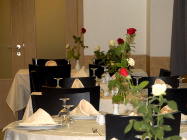 Las mejores ofertas de Africa Nova Algiers