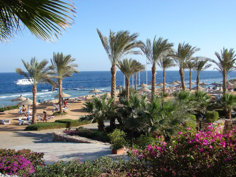 Queen Sharm Resort