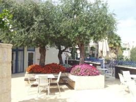 Las mejores ofertas de PRIMA GALIL Tiberias