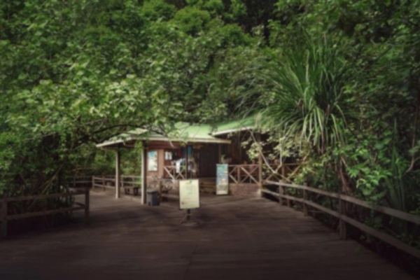 Las mejores ofertas de Permai Rainforest Resort Kuching