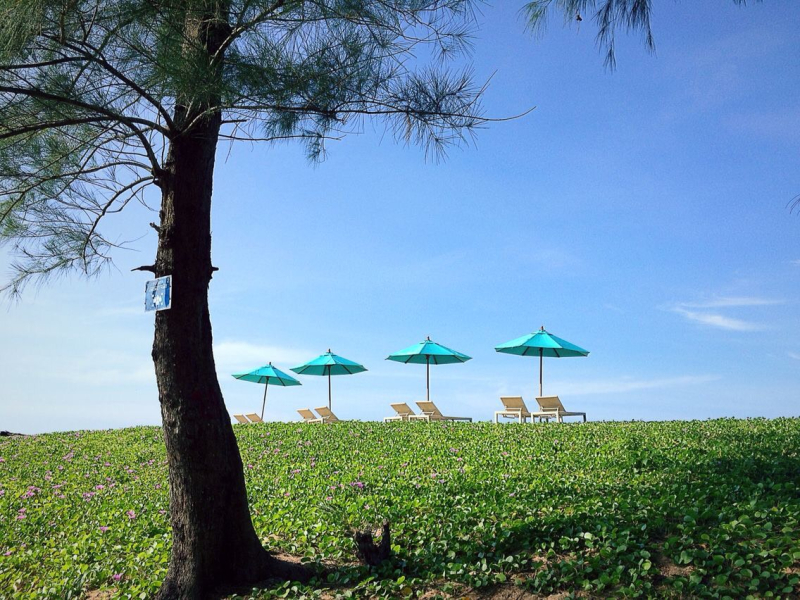 Las mejores ofertas de Le Coral Resort and Spa KHAO LAK