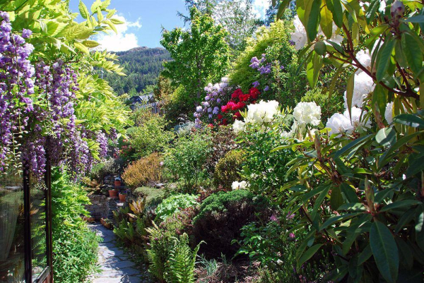 Las mejores ofertas de Larch Hill Homestay Bed And Breakfast Queenstown