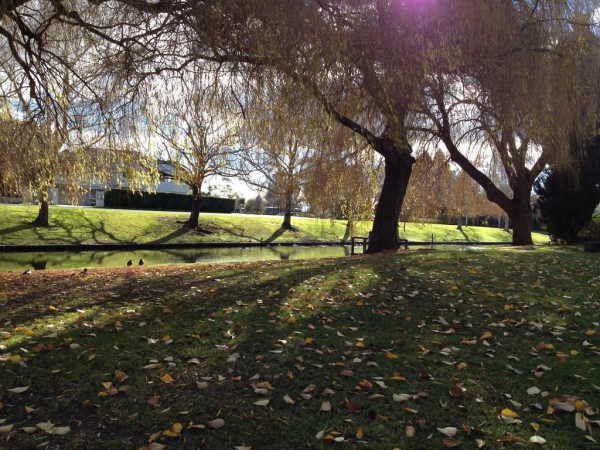 Las mejores ofertas de Hastings Top 10 Holiday Park Napier