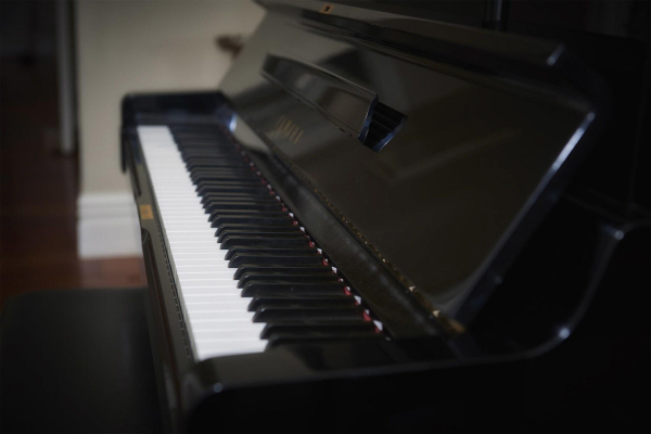 Las mejores ofertas de Escape To Picton Marlborough