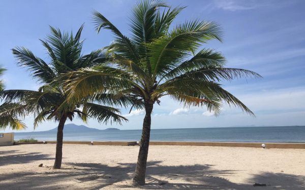 Las mejores ofertas de Purin Resort & Restaurant Ban Nua Khlong