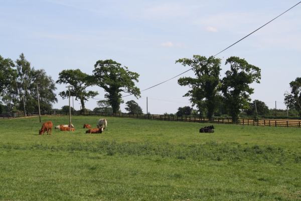 Las mejores ofertas de Moate Lodge Kildare
