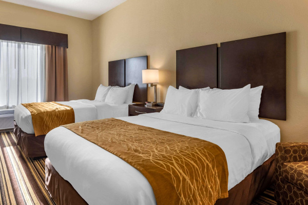 Las mejores ofertas de Comfort Inn & Suites Triadelphia Triadelphia