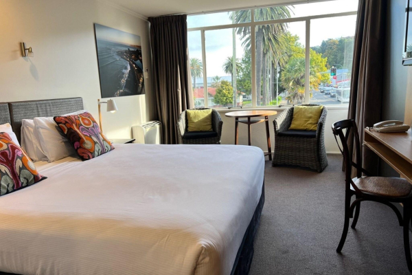 Las mejores ofertas de Expressotel Napier 