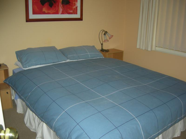 Las mejores ofertas de Busy Buzz B&B Bathurst
