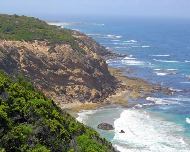 Points South By The Sea