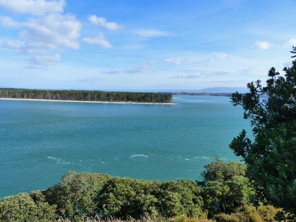 Las mejores ofertas de Waihi Beach Lodge Coromandel