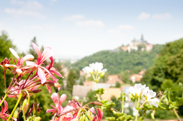 Las mejores ofertas de Regiohotel Schanzenhaus Harzgerode