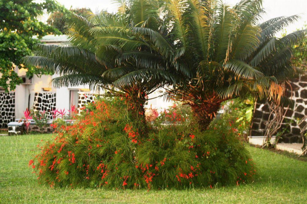 Las mejores ofertas de Retaj Moroni Hotel Moroni 