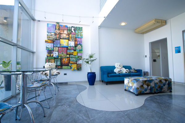 Las mejores ofertas de Hotel LP Centro Santa Cruz