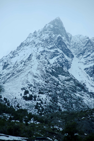 Las mejores ofertas de Noi Puma Lodge Talca 