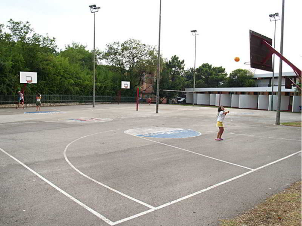 Las mejores ofertas de Kamelija Tivat